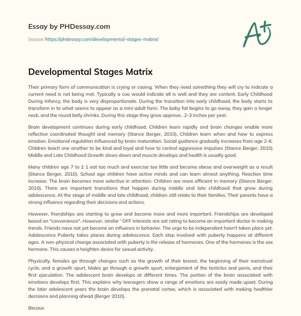 Developmental Stages Matrix essay