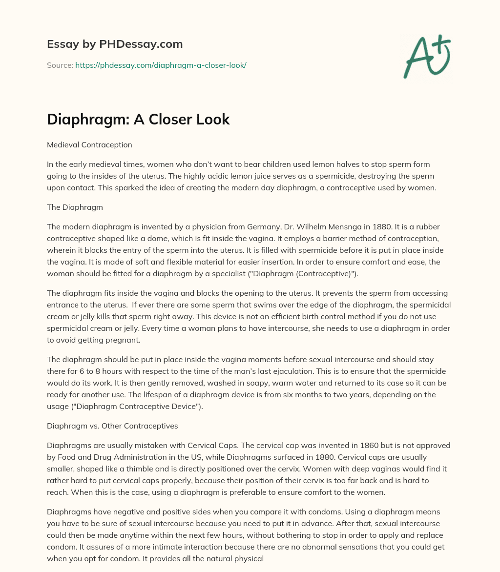 Diaphragm: A Closer Look essay