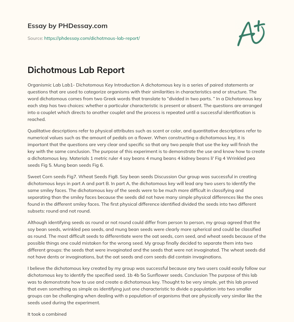 Dichotmous Lab Report essay