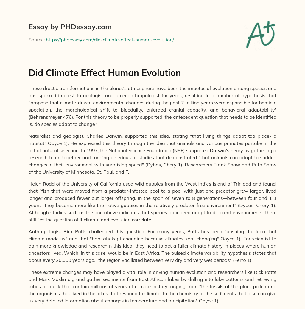 Did Climate Effect Human Evolution essay