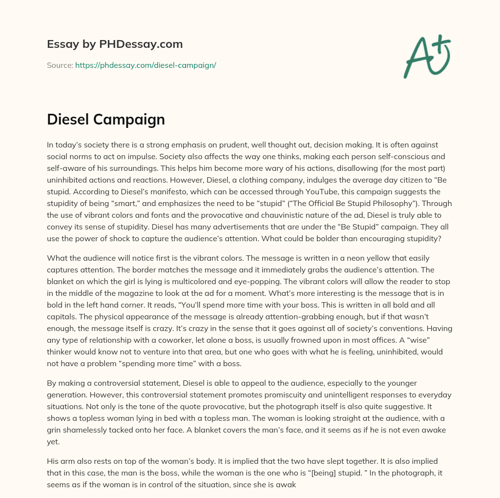 Diesel Campaign essay