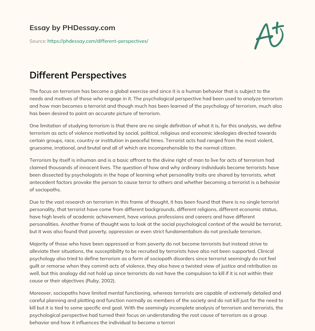 Different Perspectives essay