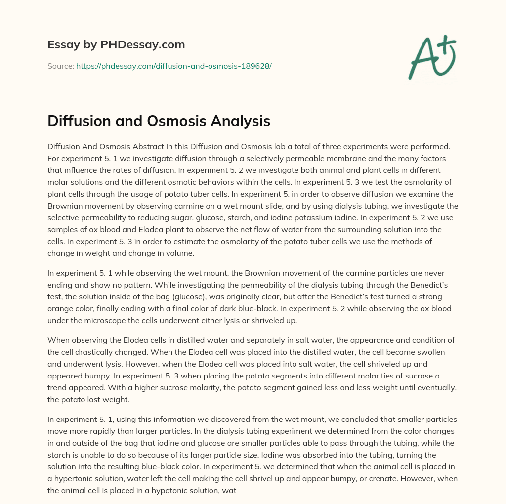Diffusion and Osmosis Analysis essay