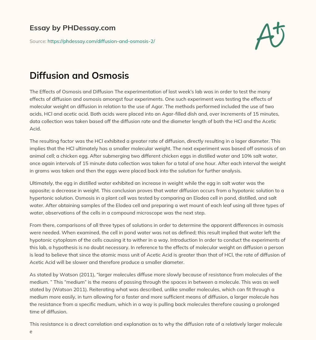 Diffusion and Osmosis essay