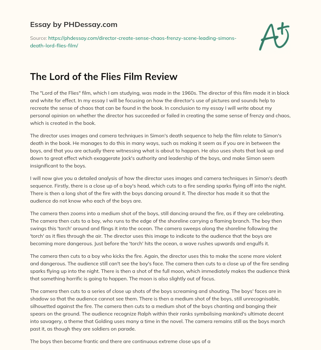 The Lord of the Flies Film Review essay