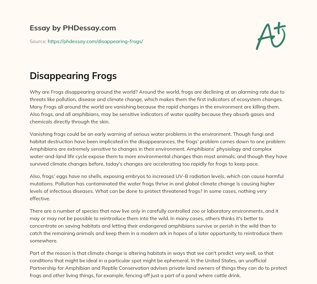 Disappearing Frogs (300 Words) - PHDessay.com
