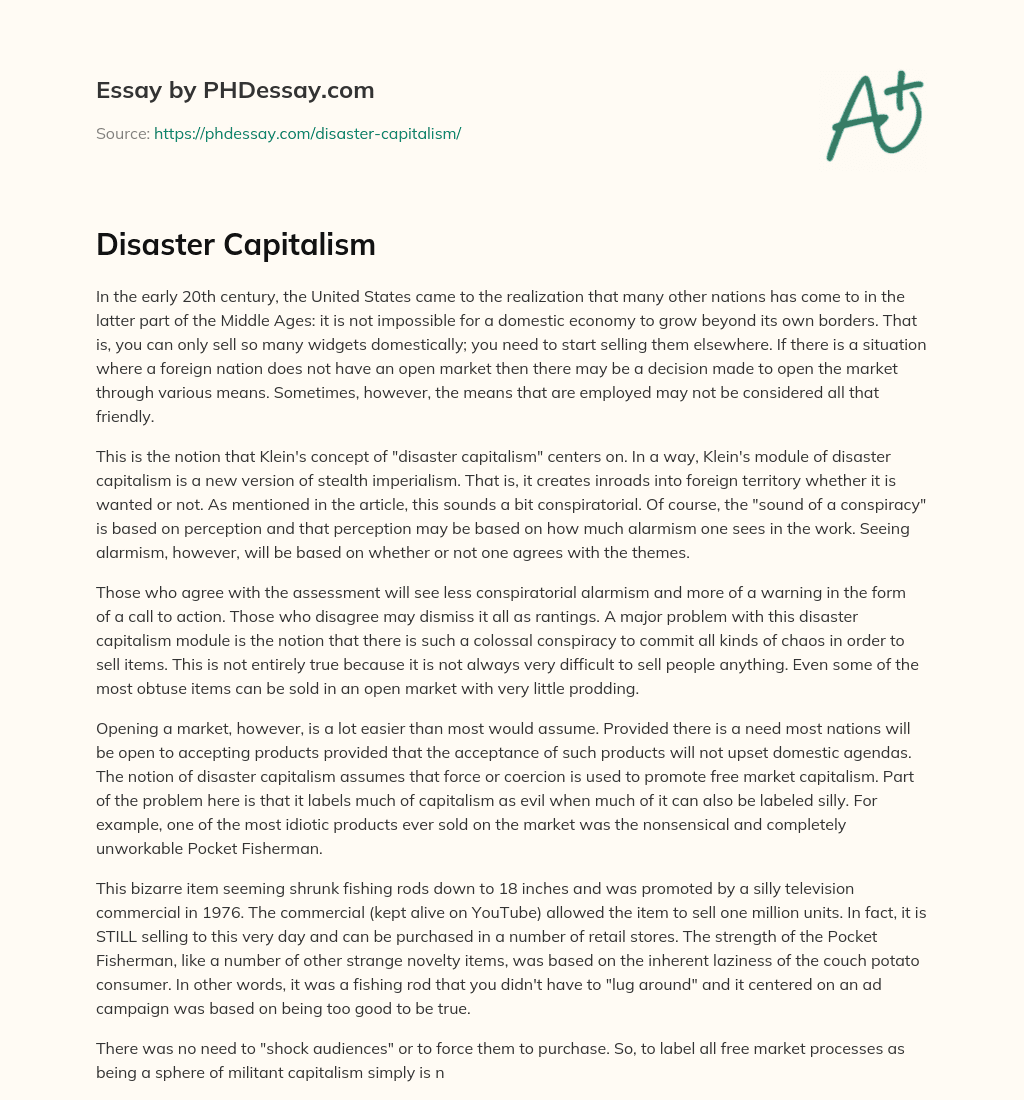 Disaster Capitalism essay