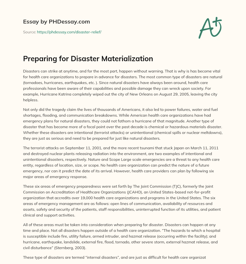 Preparing for Disaster Materialization essay