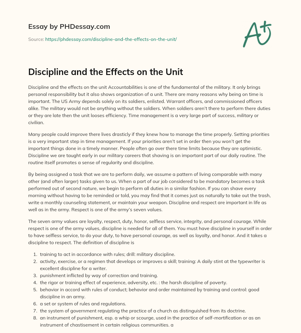 Discipline and the Effects on the Unit essay