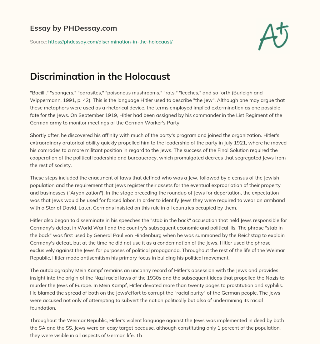 Discrimination in the Holocaust essay