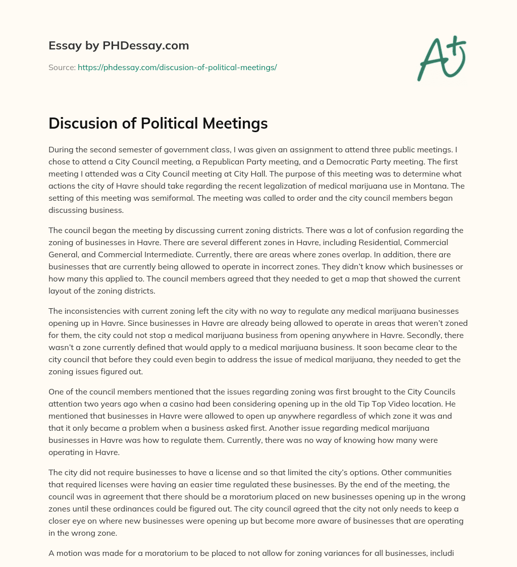 Discusion of Political Meetings essay