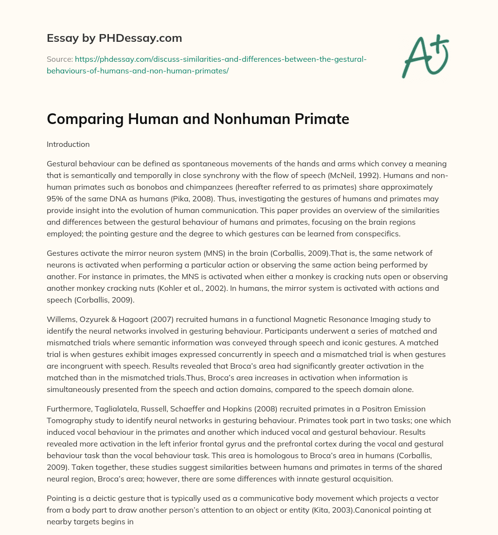 Comparing Human and Nonhuman Primate essay
