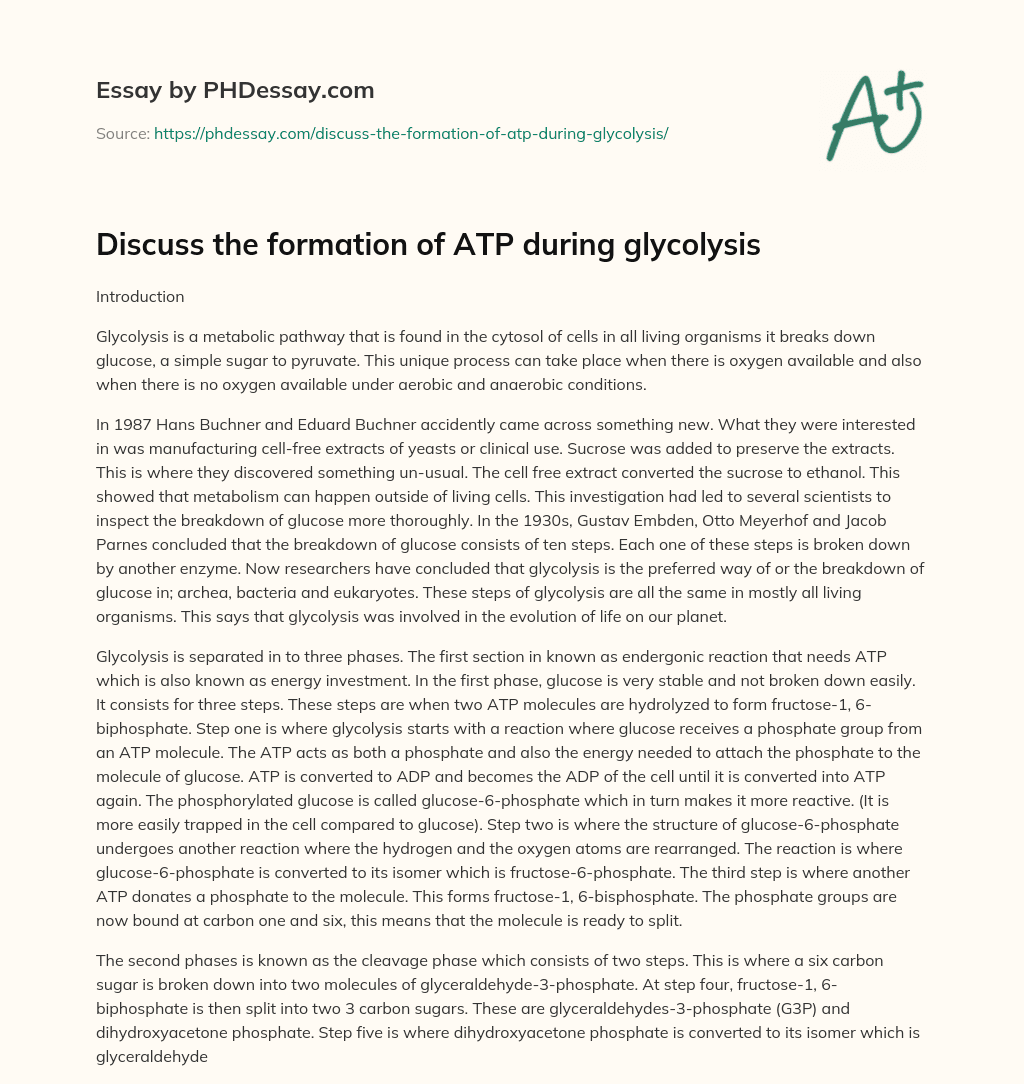 Discuss the formation of ATP during glycolysis essay