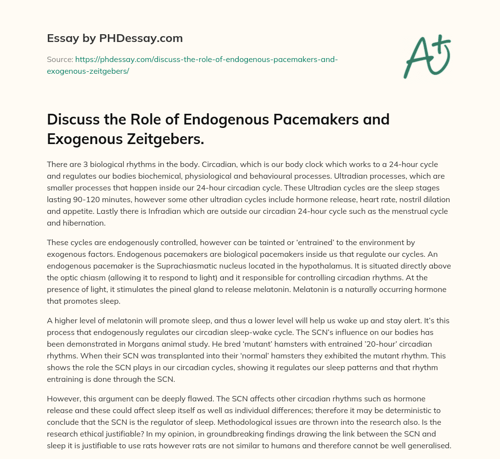 Discuss the Role of Endogenous Pacemakers and Exogenous Zeitgebers. essay