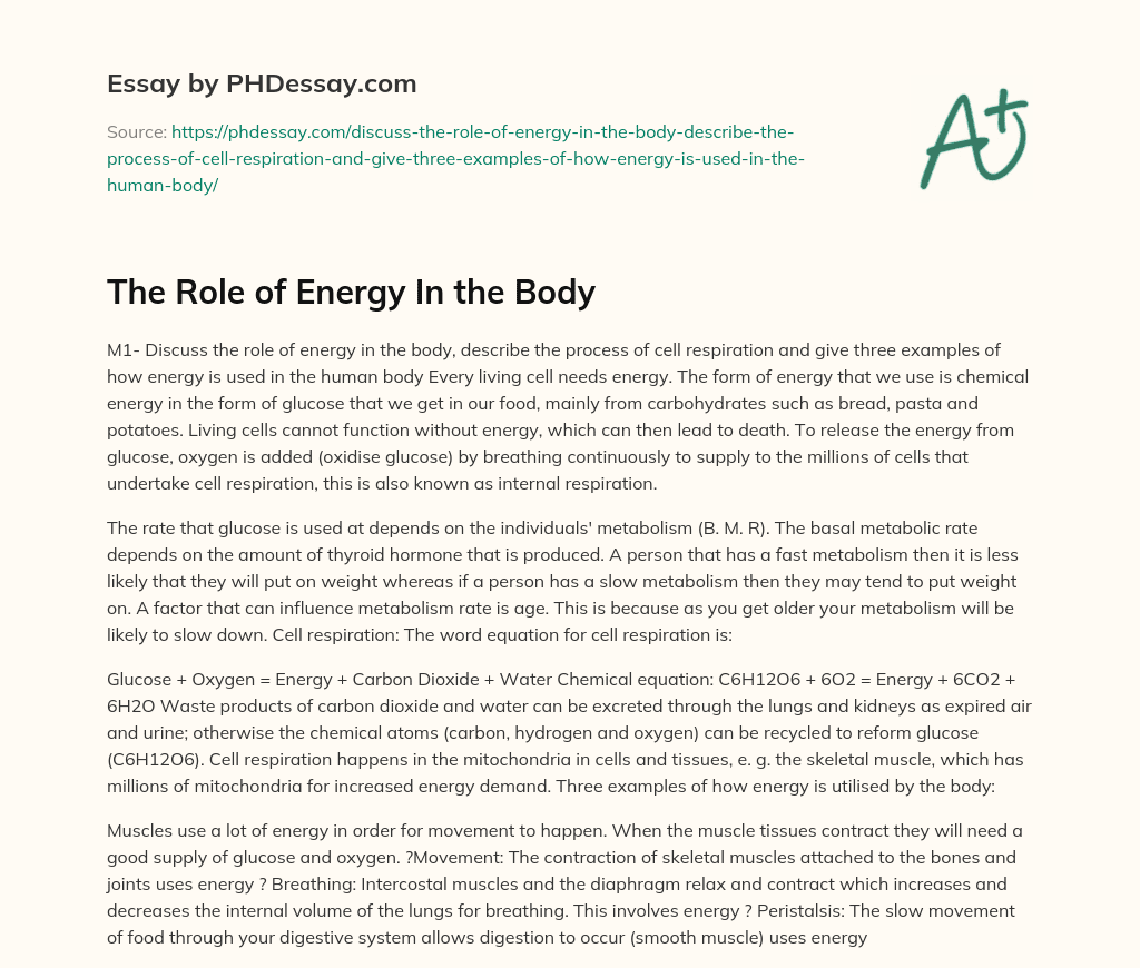 The Role of Energy In the Body essay