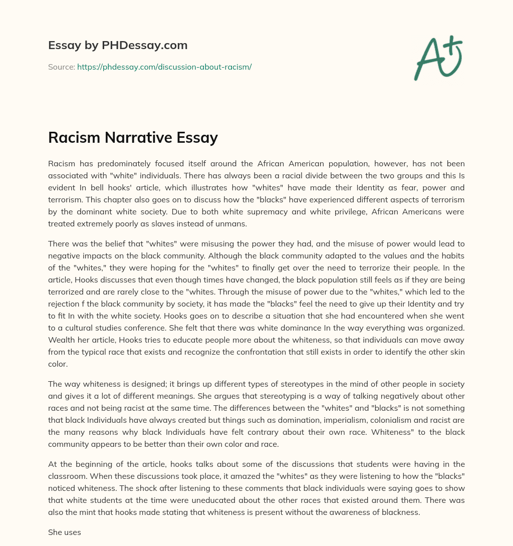 Racism Narrative Essay essay