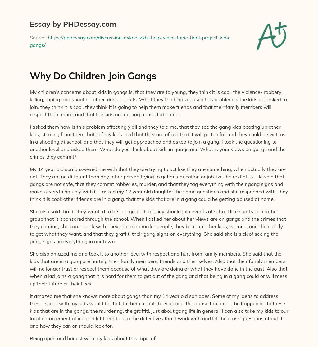 Why Do Children Join Gangs essay