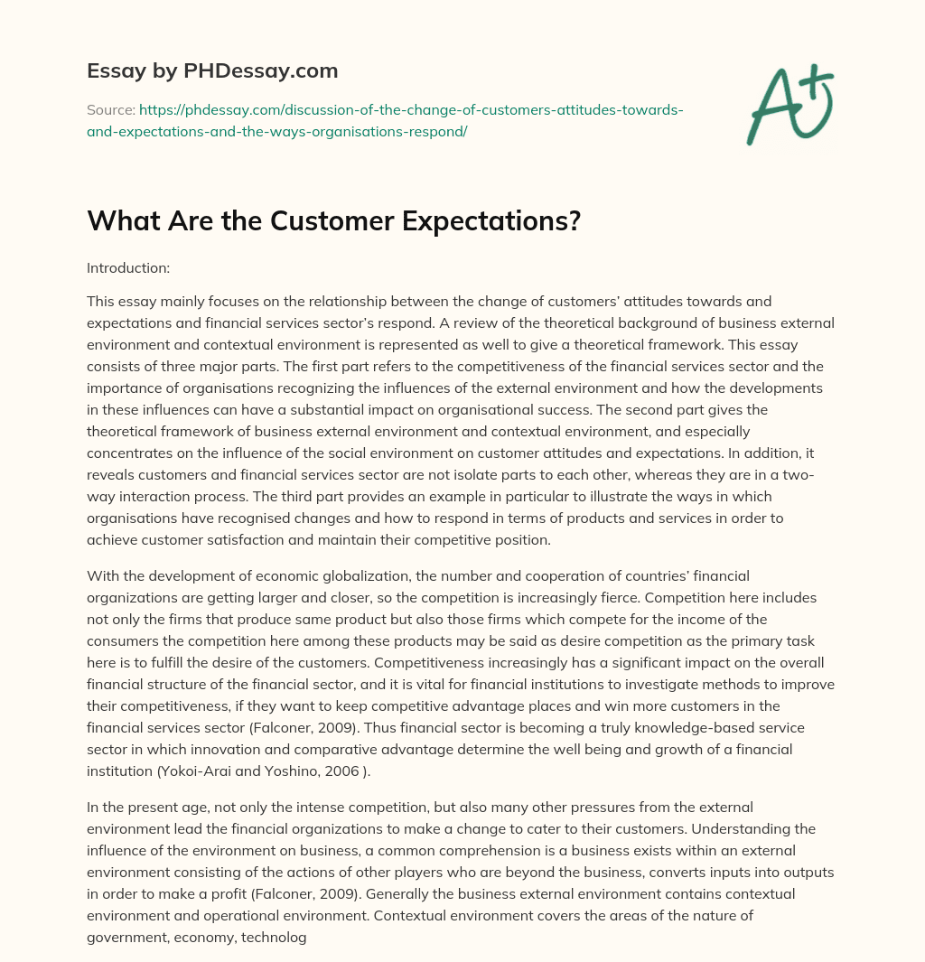 What Are the Customer Expectations? essay
