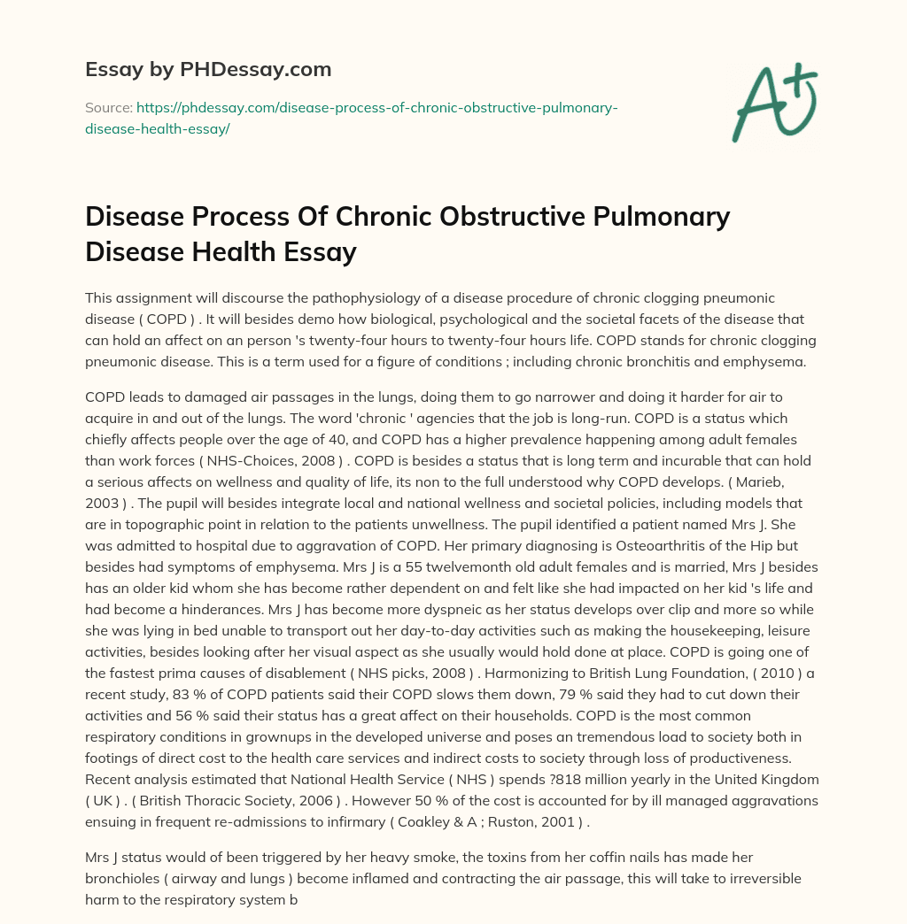 Disease Process Of Chronic Obstructive Pulmonary Disease Health Essay essay