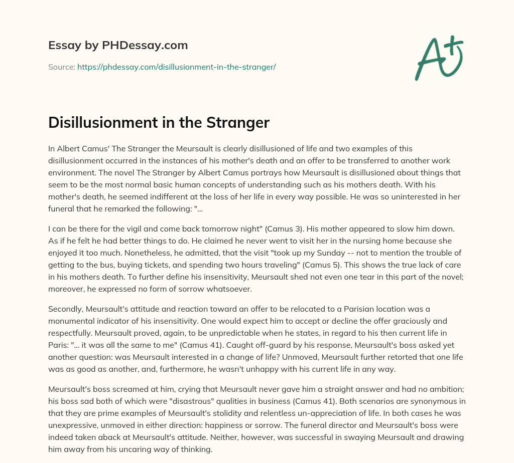 Disillusionment in the Stranger essay