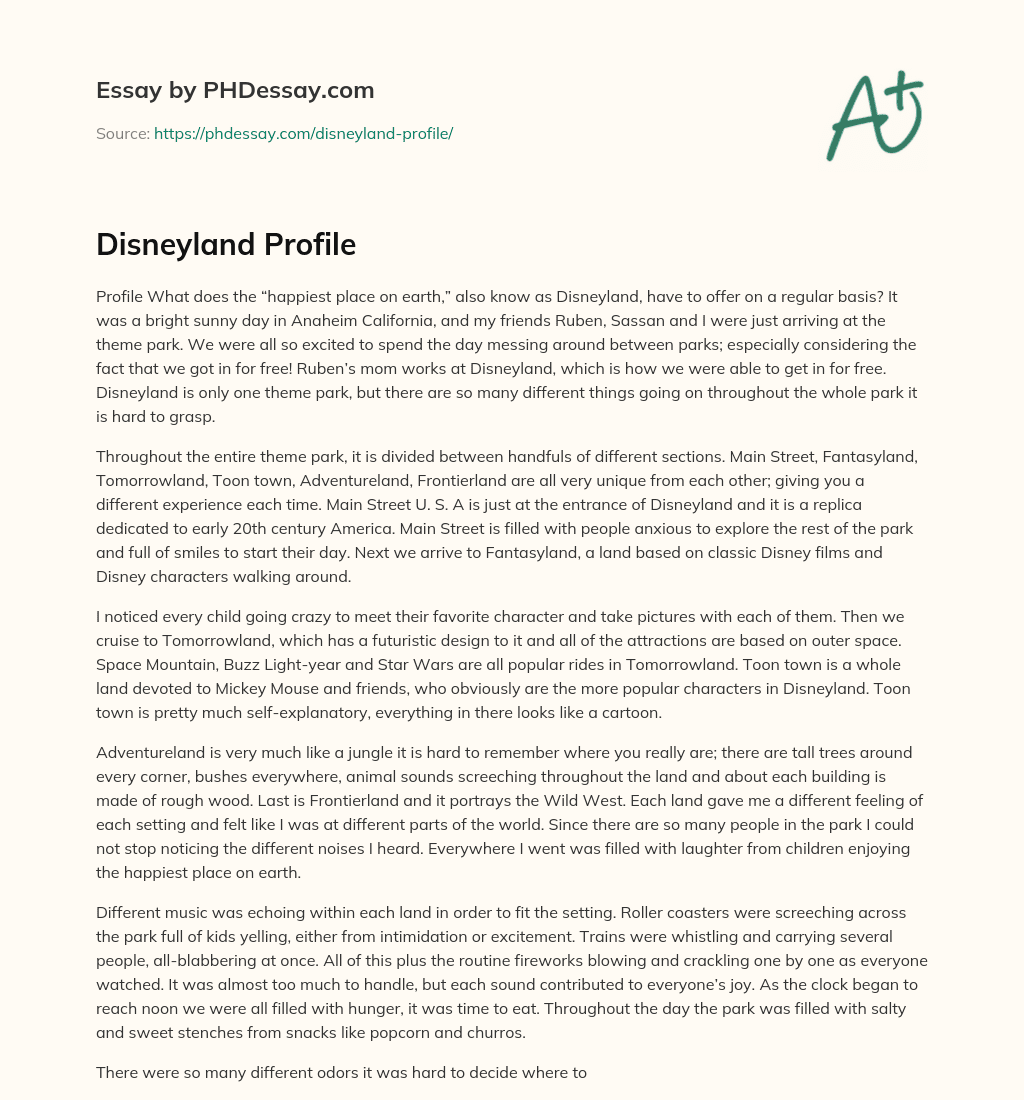 Disneyland Profile essay