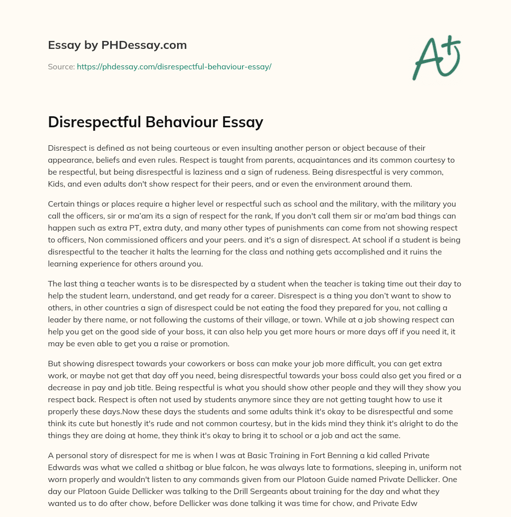 Disrespectful Behaviour Essay essay