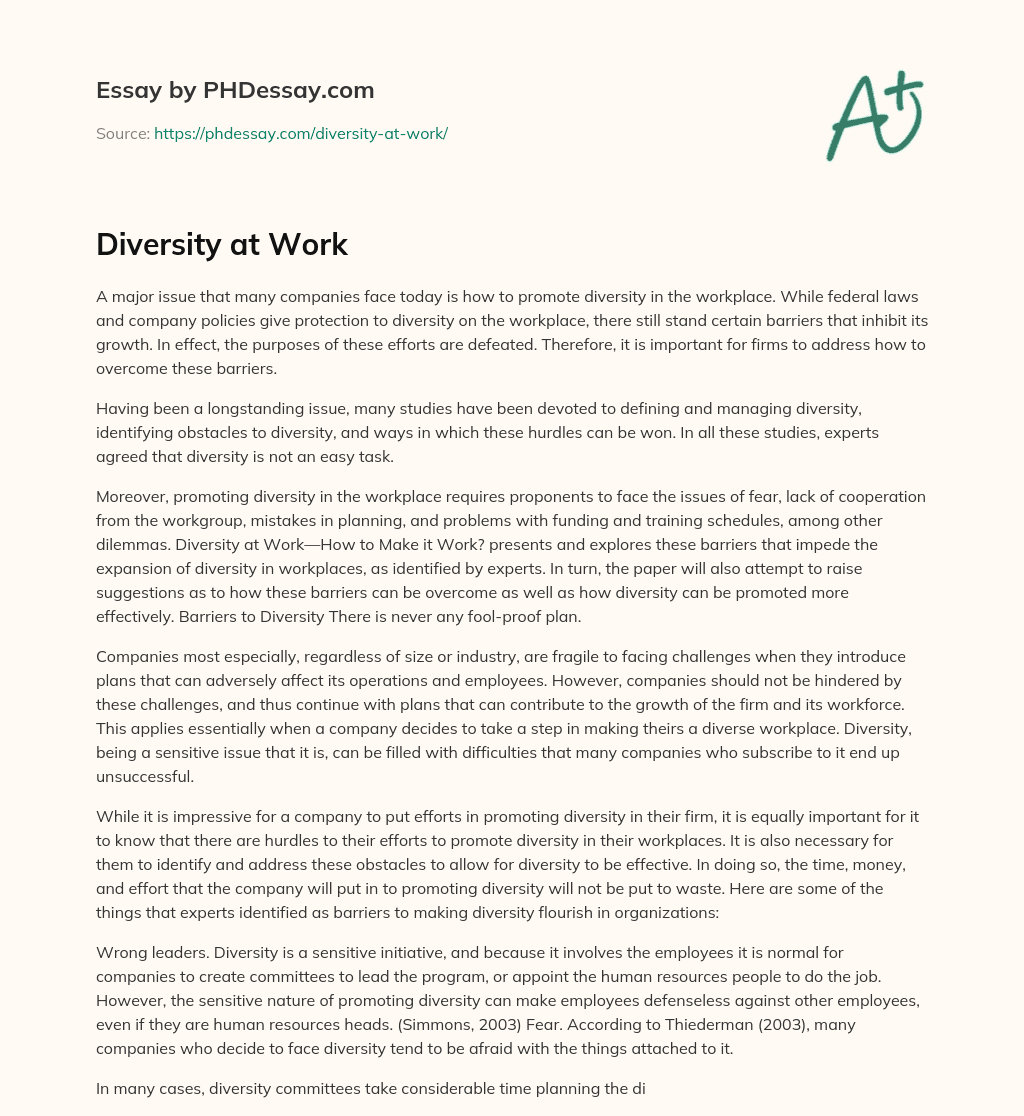Diversity at Work essay