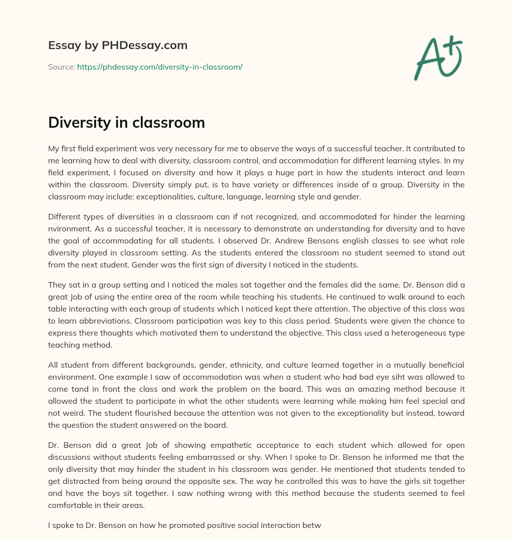 essay about diversity in classroom