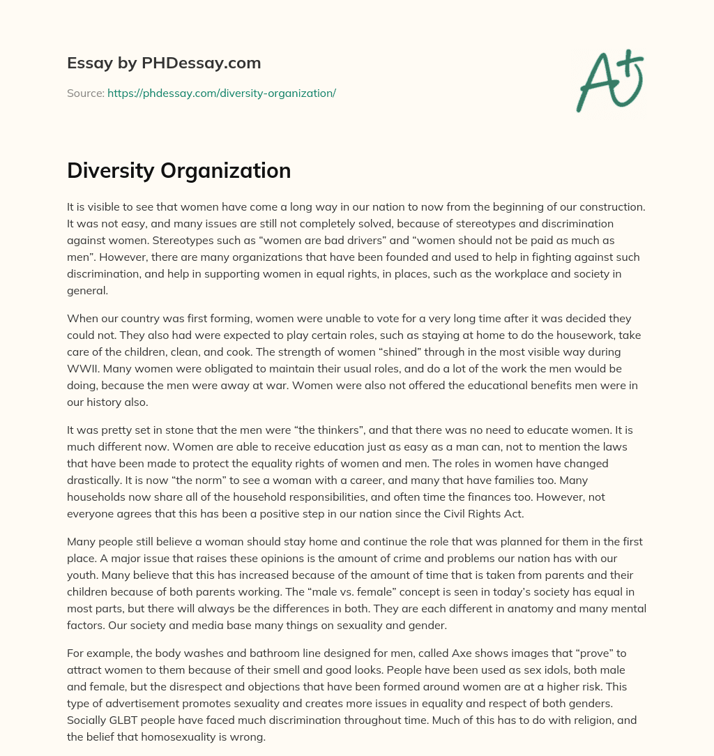 Diversity Organization essay