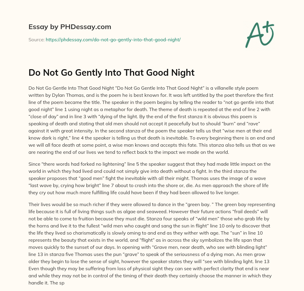 do not go gentle into that good night essay