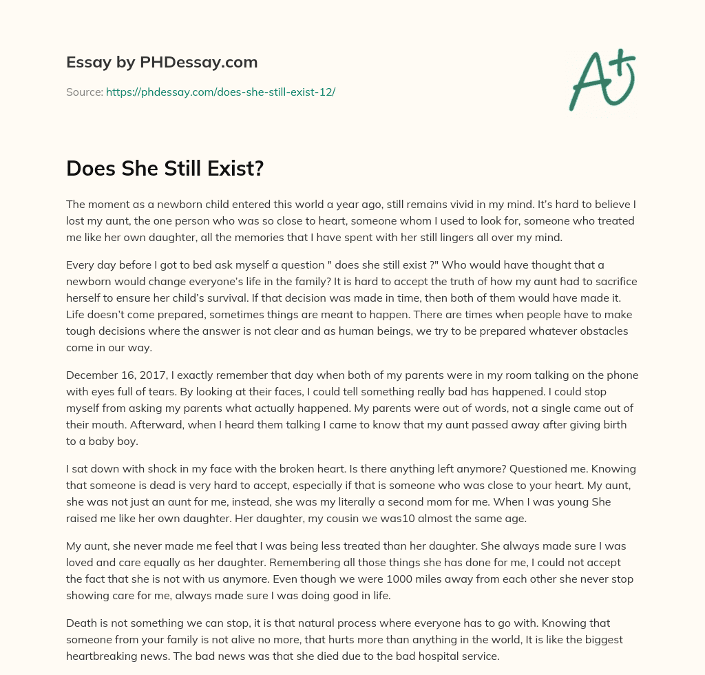 Does She Still Exist? essay