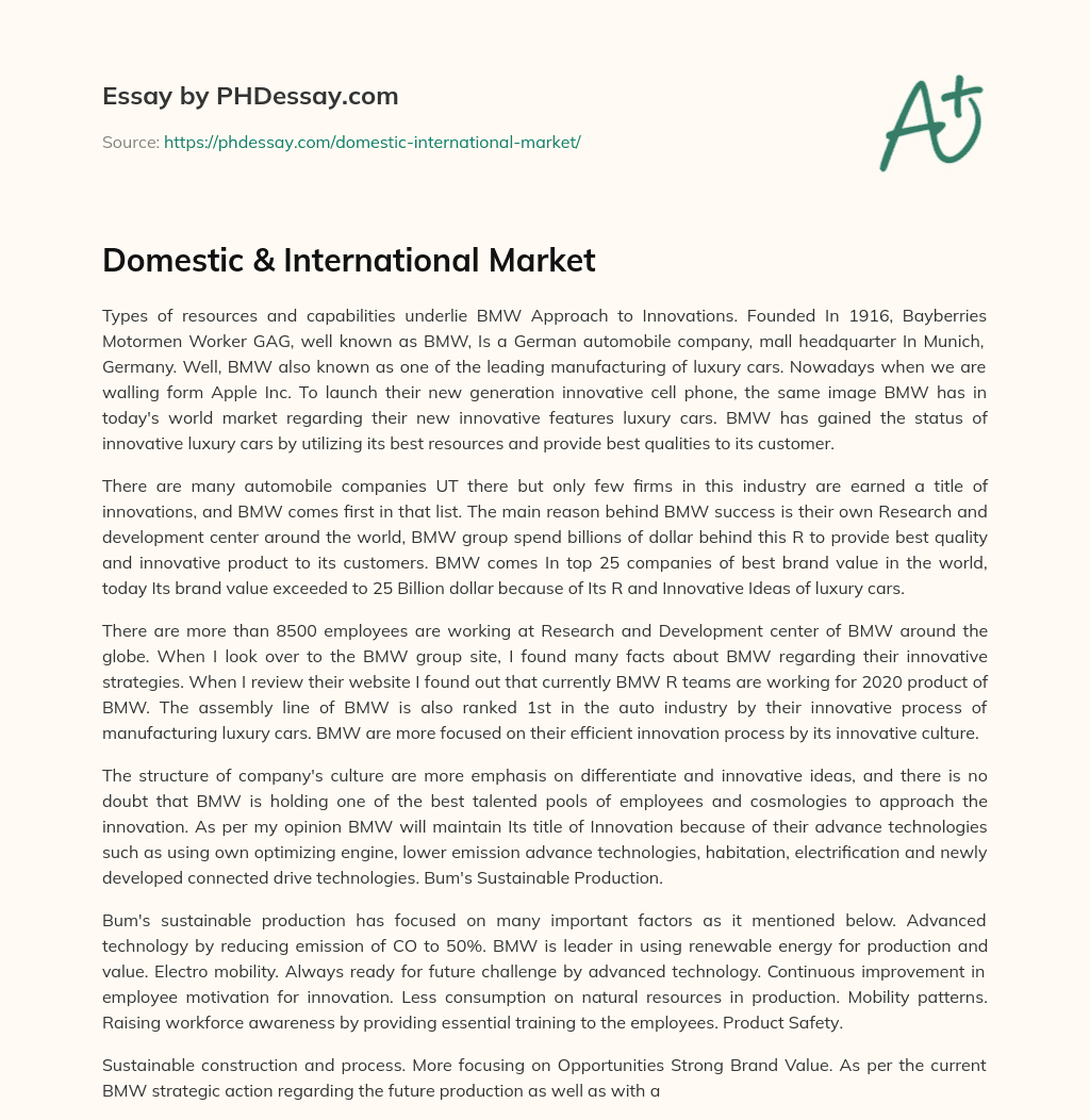 Domestic & International Market essay
