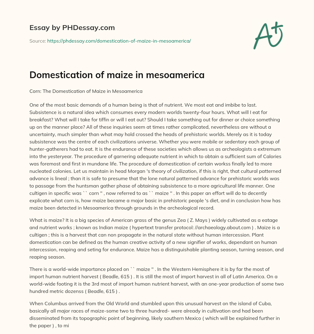 Domestication of maize in mesoamerica essay