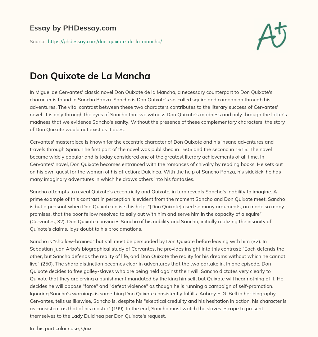 Don Quixote de La Mancha essay