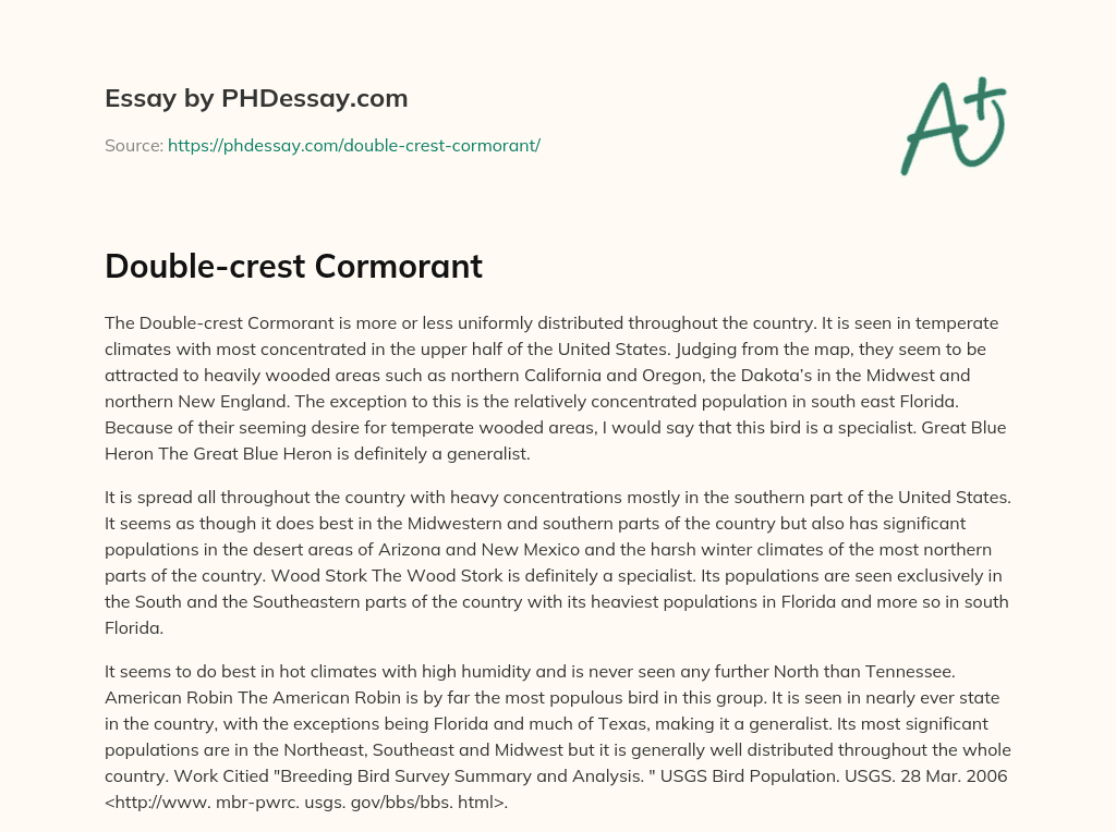 Double-crest Cormorant essay