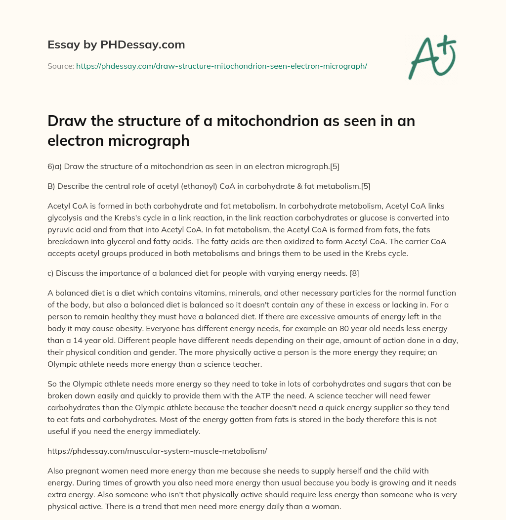 Draw the structure of a mitochondrion as seen in an electron micrograph essay