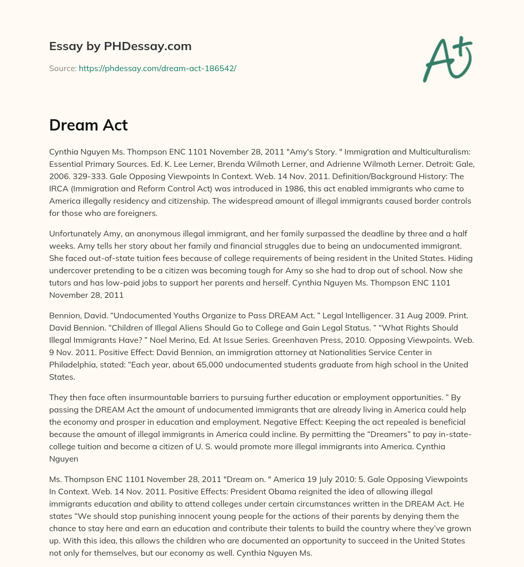 The Struggles of an Undocumented Immigrant: Amy’s Story essay