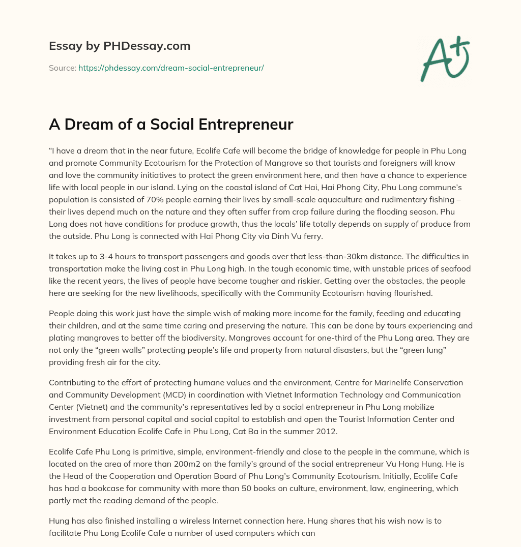 A Dream of a Social Entrepreneur essay