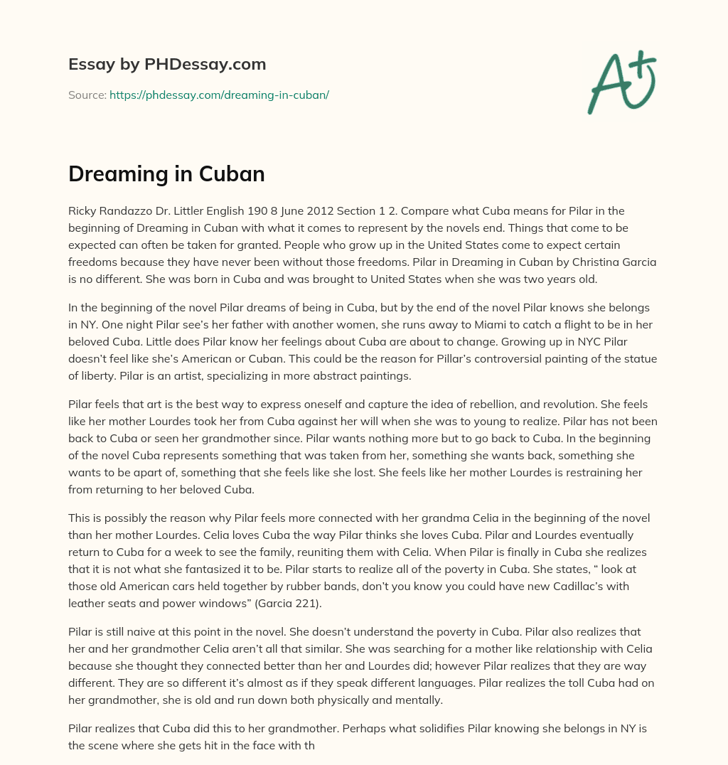 Dreaming in Cuban essay