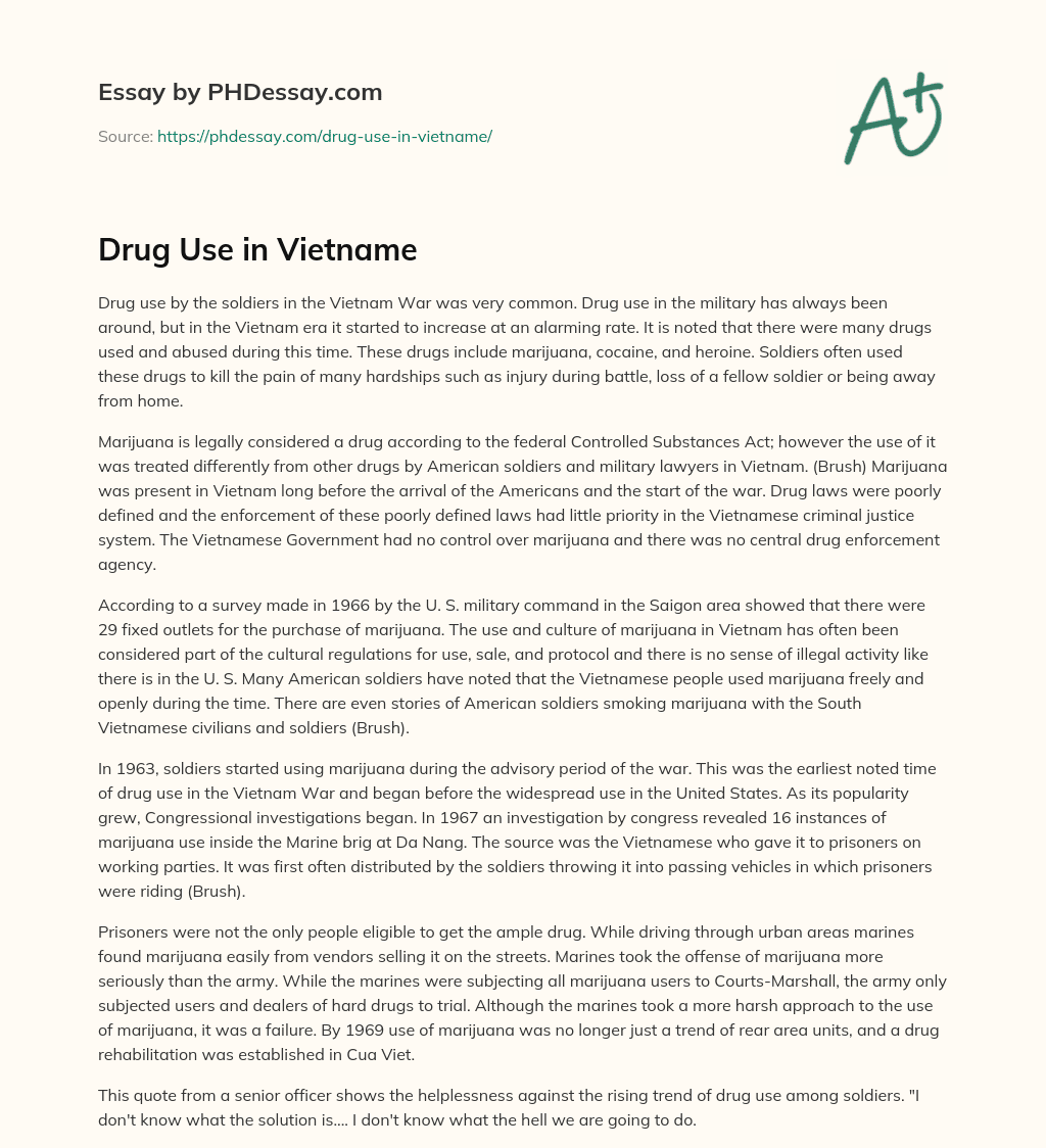 Drug Use in Vietname essay