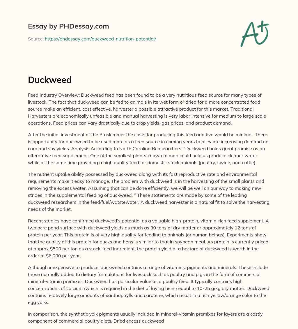 Duckweed Feed: A Promising Alternative for Livestock Nutrition essay