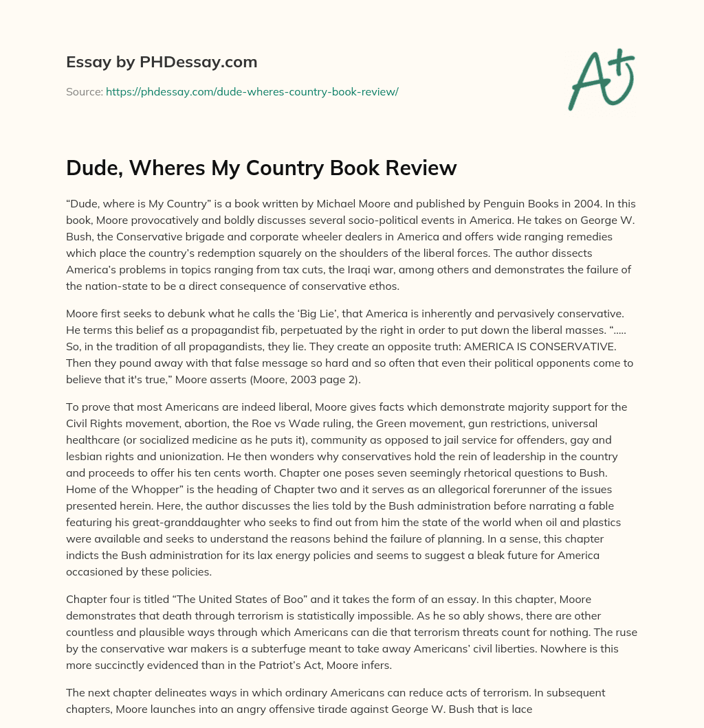Dude, Wheres My Country Book Review essay