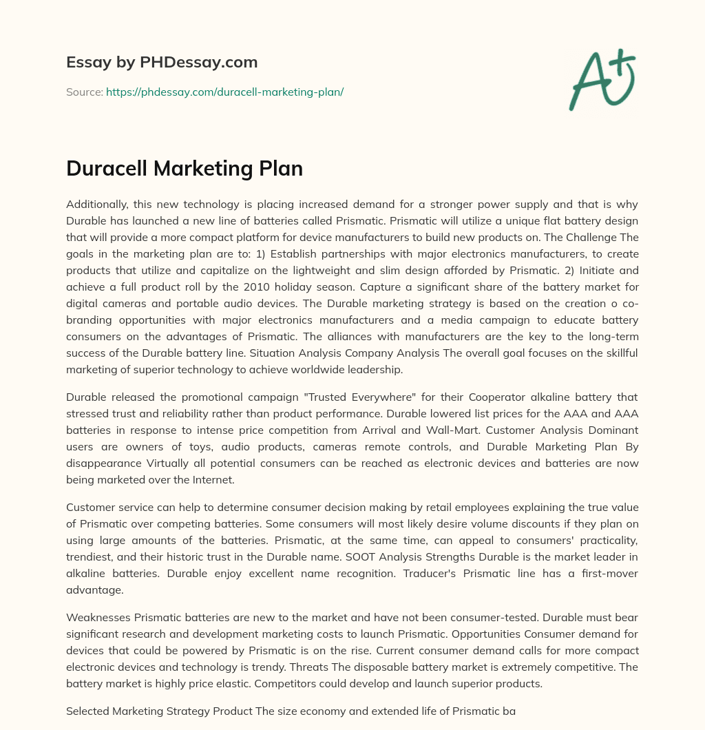 Duracell Marketing Plan essay