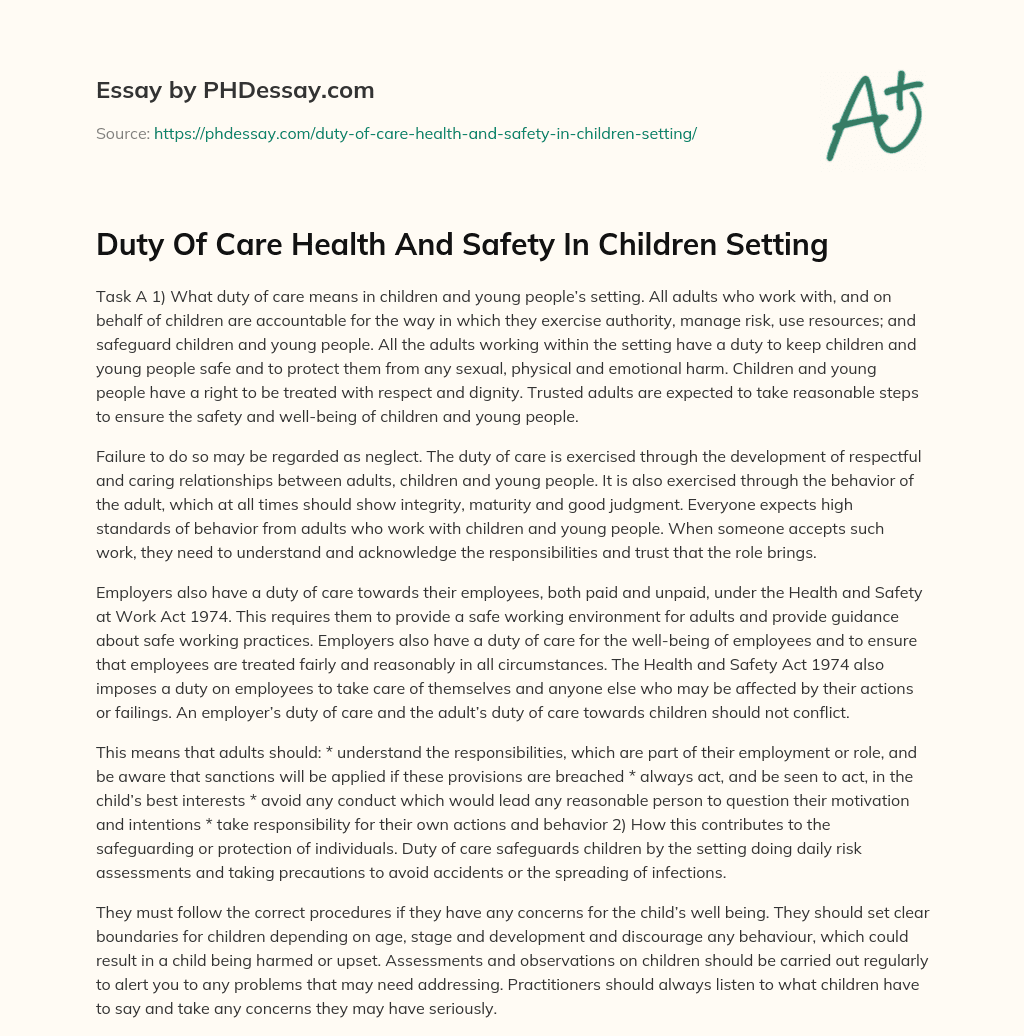 Duty Of Care Health And Safety In Children Setting essay