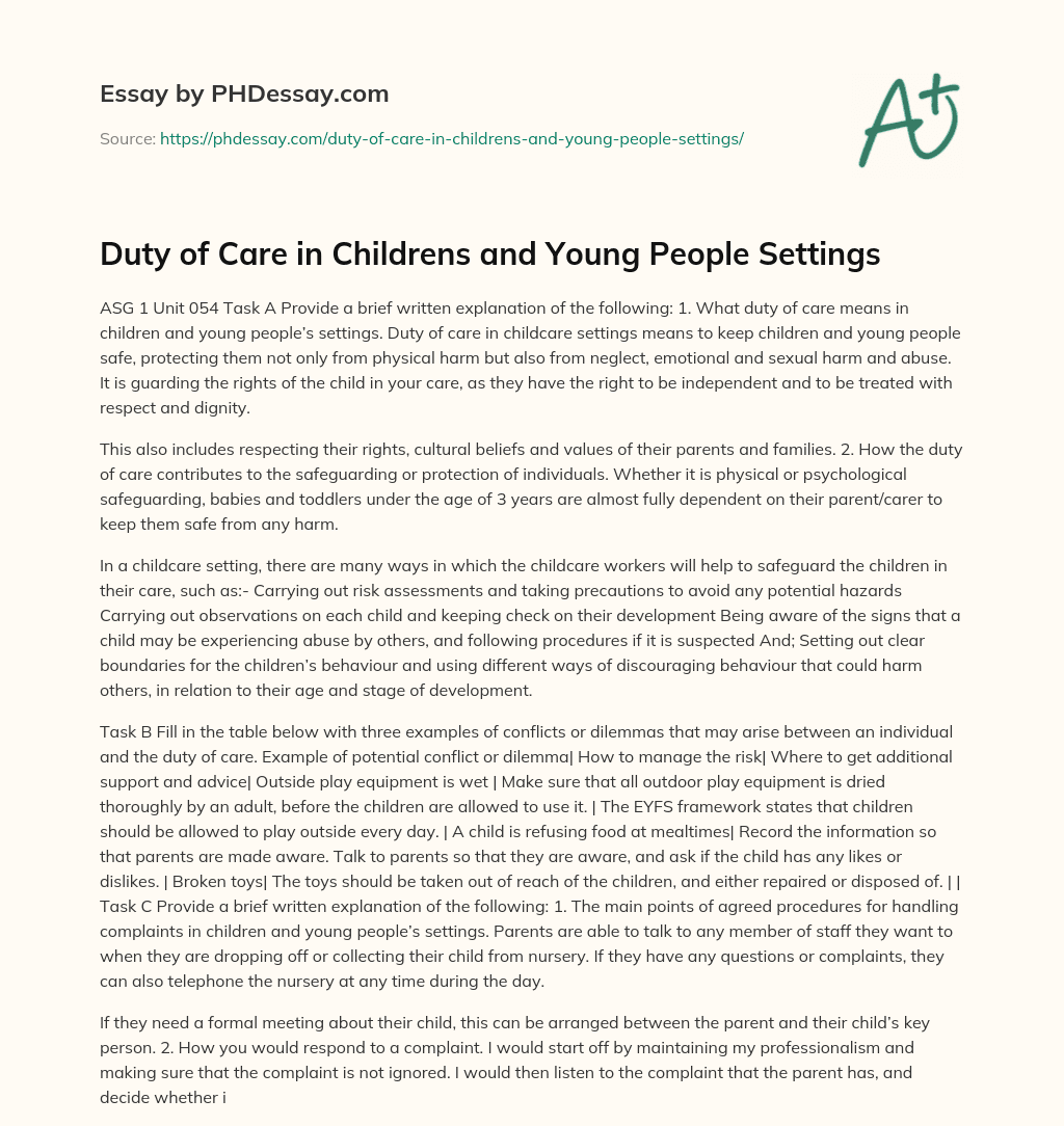 Duty of Care in Childrens and Young People Settings essay