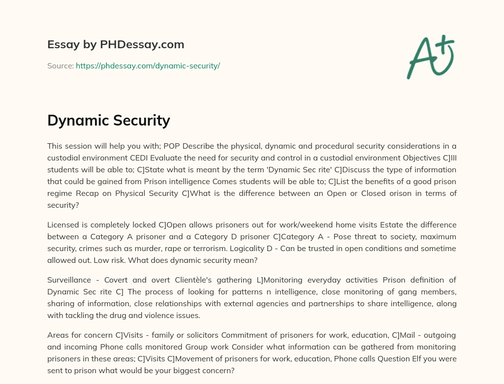 Dynamic Security (300 Words) - PHDessay.com