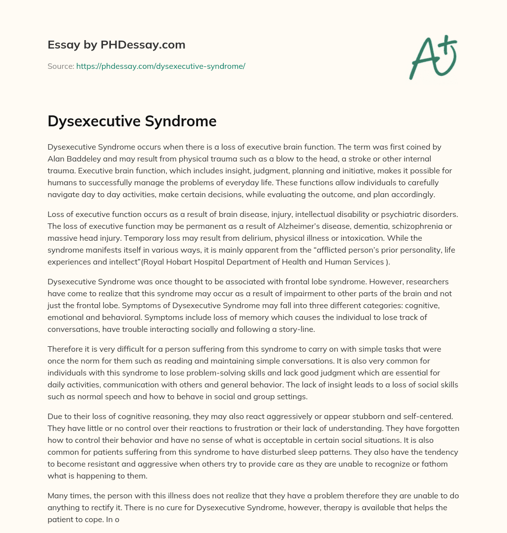 Dysexecutive Syndrome essay