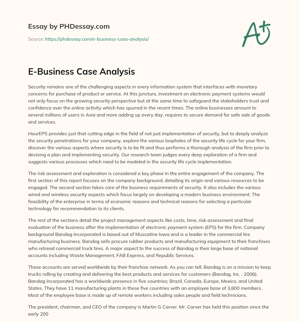 E-Business Case Analysis essay