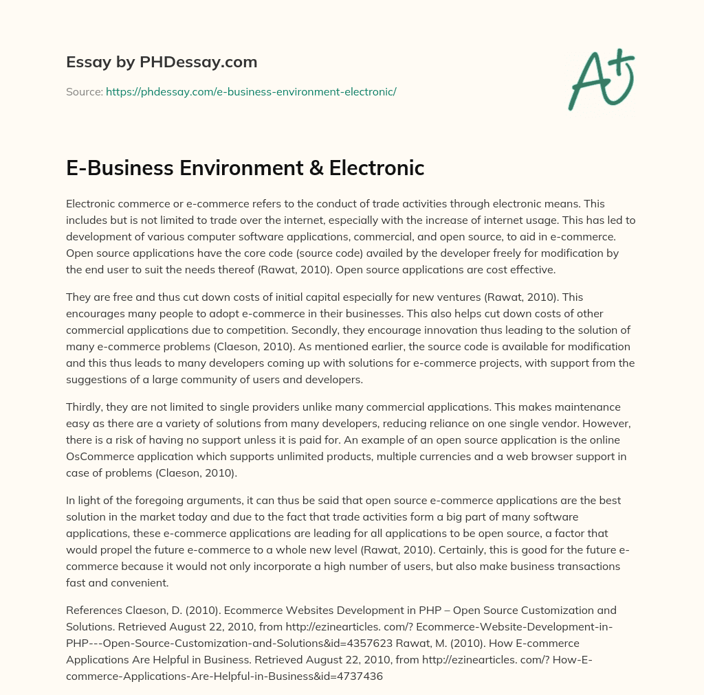 E-Business Environment & Electronic essay