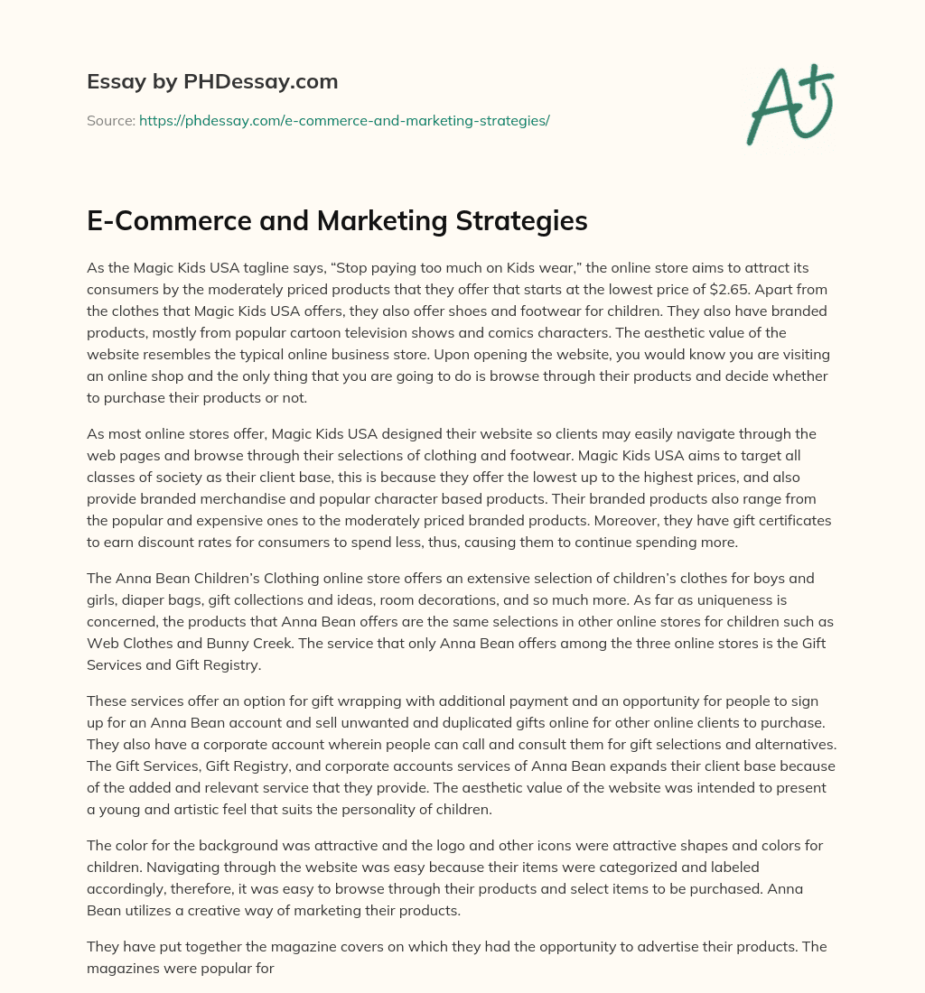 E-Commerce and Marketing Strategies essay